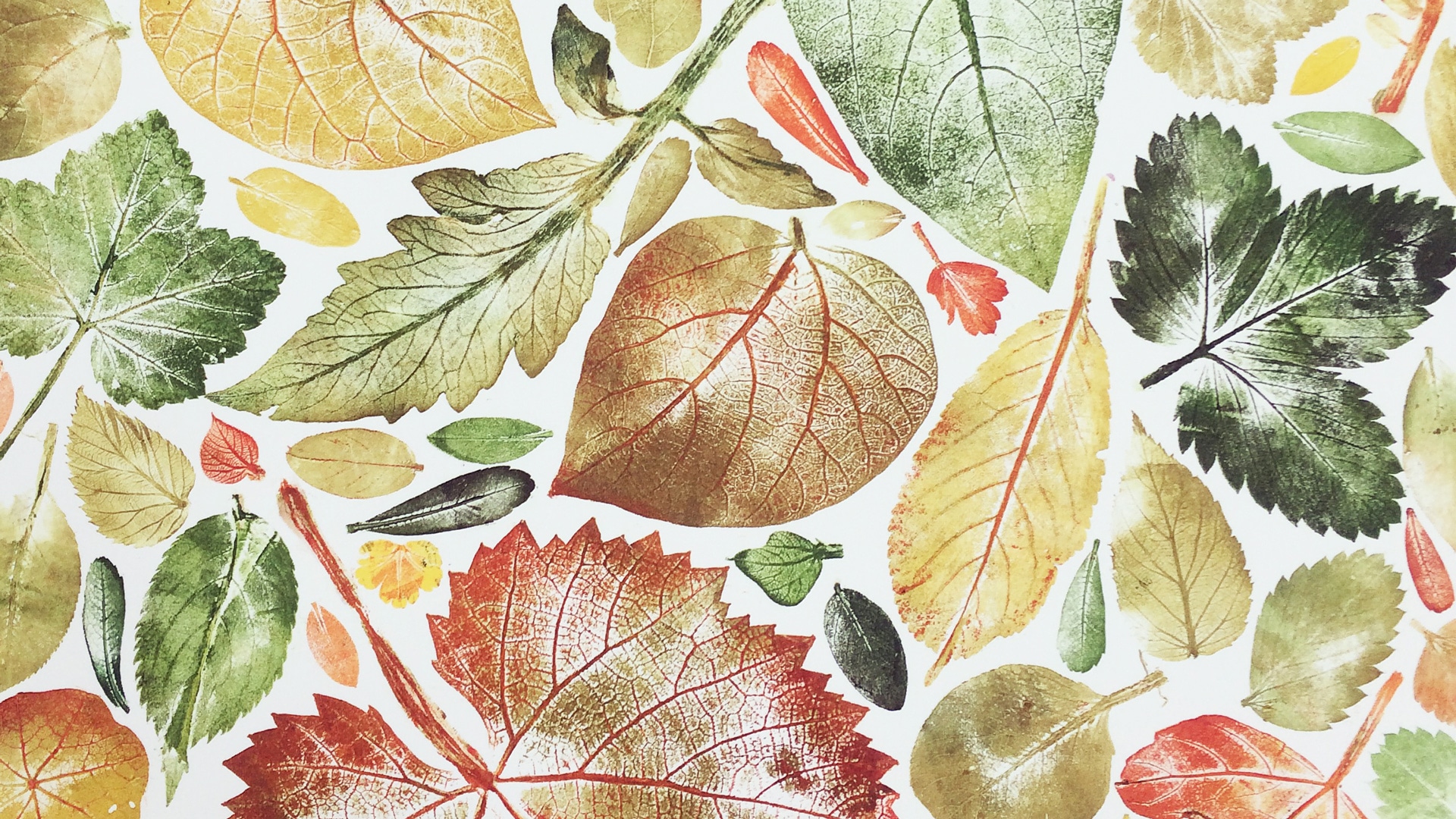 A Printwork of leaves showing what can be produced during the workshop